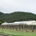 Pokolbin: The Mother Vine Experience | Tour and Wine Tasting - Who Should Book This Tour?