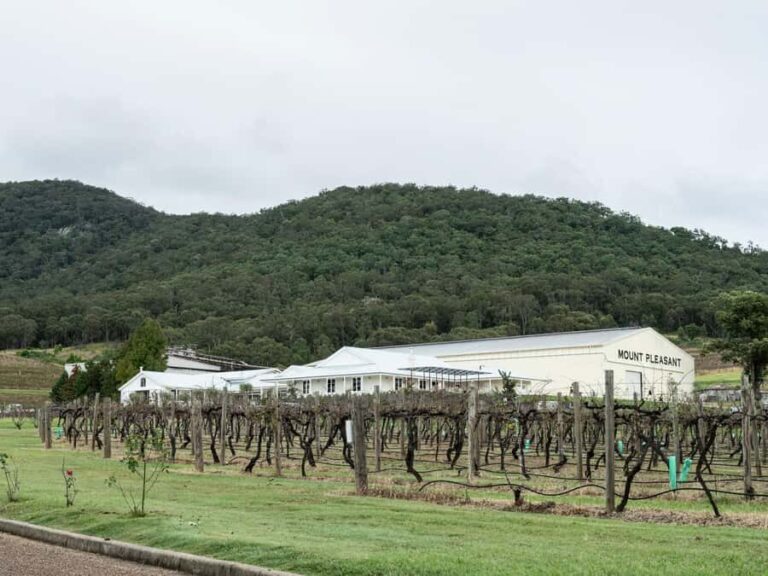 Pokolbin: The Mother Vine Experience | Tour and Wine Tasting - Who Should Book This Tour?
