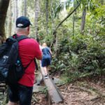Polgampola Waterfall Tour by Tuk Tuks From Bentota area - Practical Details and Tips