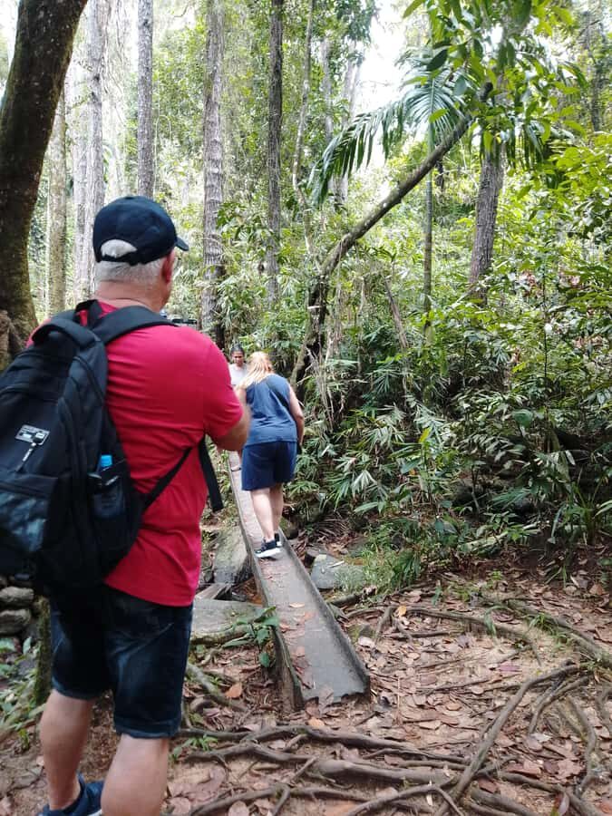 Polgampola Waterfall Tour by Tuk Tuks From Bentota area - Practical Details and Tips