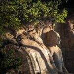 Polonnaruwa Ancient Kingdom and Wild Elephant Safari from Kandy - Practical Details and What to Expect