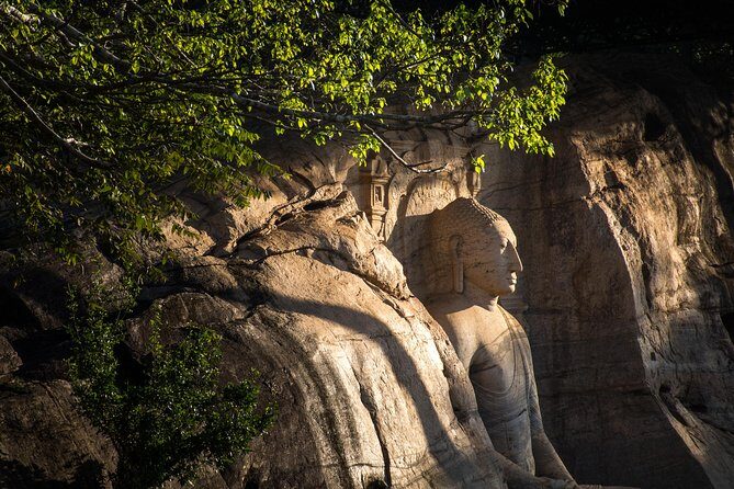 Polonnaruwa Ancient Kingdom and Wild Elephant Safari from Kandy - Practical Details and What to Expect