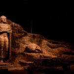 Polonnaruwa Archaeological Site Entrance Ticket with Guide - Who Will Love This Tour?