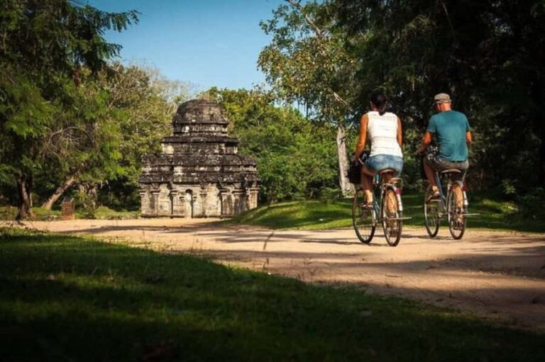 Polonnaruwa Cycling: Paddy-Field Lunch with Eco Park Safari - Why This Tour Is a Great Choice