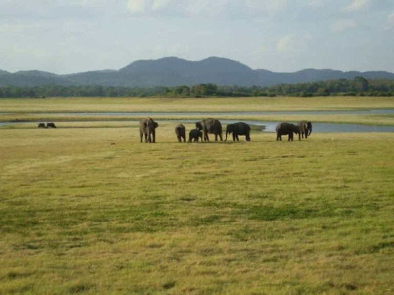 Polonnaruwa: Maduru Oya Safari & Danigala Hike with Lunch - FAQs