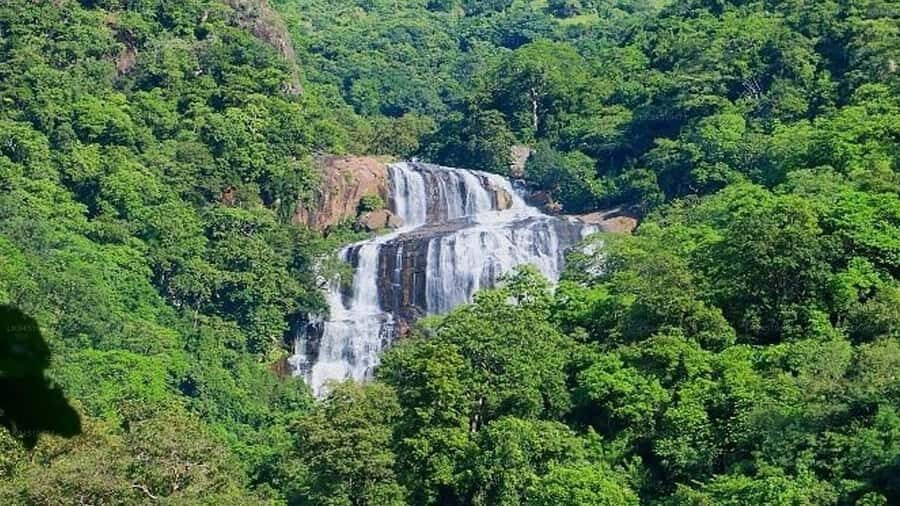 Polonnaruwa: Waterfalls, Village, Vedda Tour & Kandy Drop