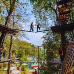 Pongyang Jungle Coaster & Zipline (Transfer) - An Adventure in the Heart of Nature