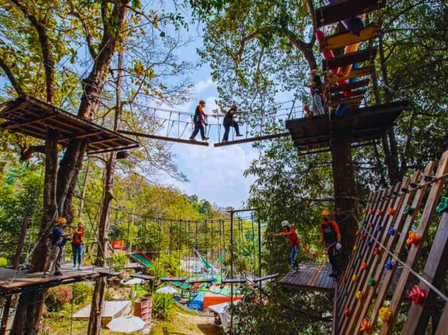 Pongyang Jungle Coaster & Zipline (Transfer) - An Adventure in the Heart of Nature