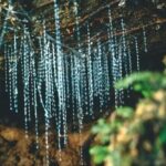 *Popular Tour* - Bay of Islands: Nature Adventure - 4hrs - Who Would Enjoy This Tour?