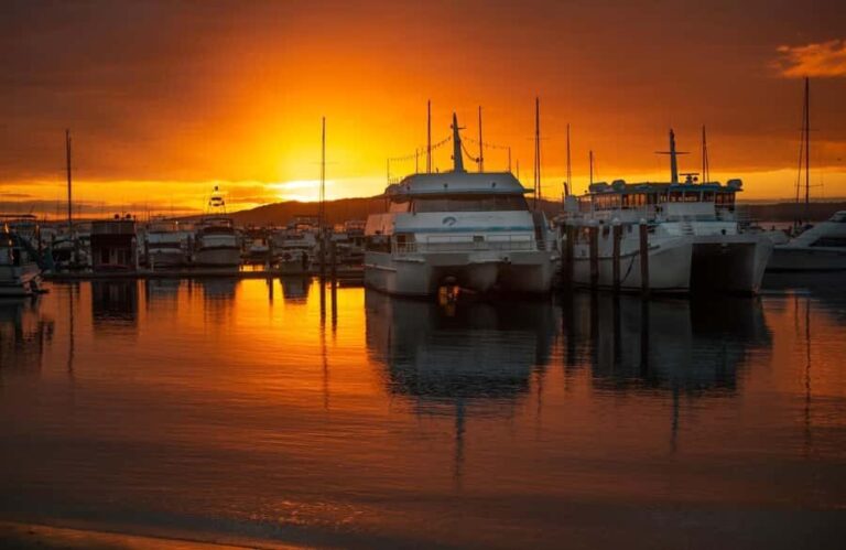 Port Stephens: Sunset on the Bay Cruise - What to Expect from the Sunset on the Bay Cruise