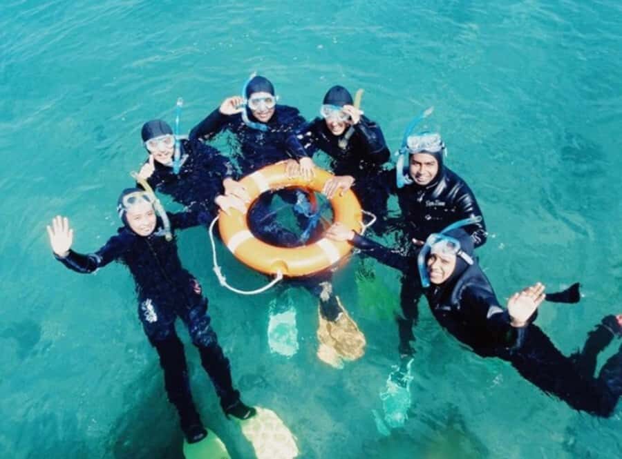 Portsea: Guided Snorkeling Tour with Weedy Sea Dragons - Marine Life Encounters