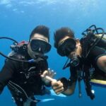 Premier Dive Spots Experience in Kushimoto - Analyzing the Value and Cost