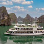 Premium Halong Bay Day Trip by 5-Star Cruise from Harbor - The Itinerary: What to Expect