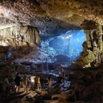 Premium Halong Bay Day Trip with Buffet Lunch from Hanoi - Who Would Enjoy This Tour?