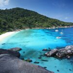 Premium Similan Island Day Trip with lunch and transfer pick up - Overview and What to Expect