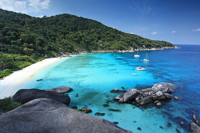 Premium Similan Island Day Trip with lunch and transfer pick up - Overview and What to Expect