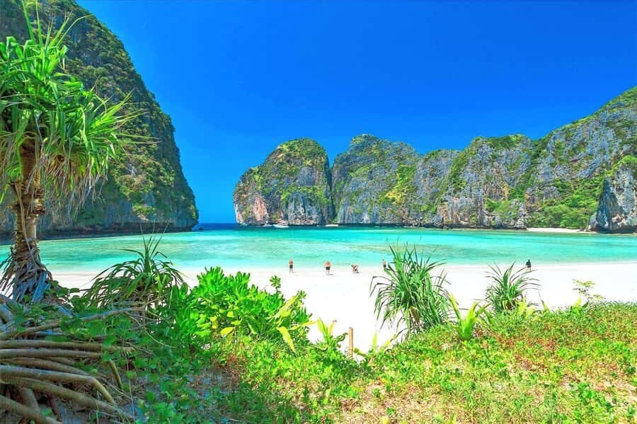 Premium Trip From Phuket: Phi Phi, Maya Bay & Khai Islands - What’s the Real Value?