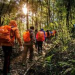 Private 1 Day Fansipan Conquering And Trekking - Practical Details and Considerations