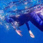 Private 12 Days Philippines Islands Hopping Tour with Cebu - Moving to Cebu: City Highlights and Heritage