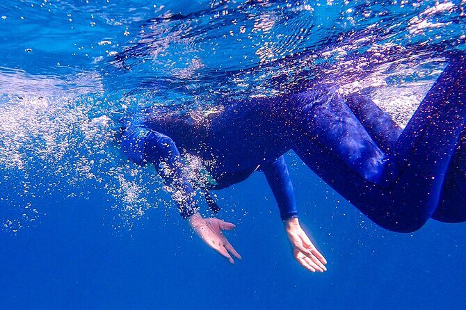 Private 12 Days Philippines Islands Hopping Tour with Cebu - Moving to Cebu: City Highlights and Heritage