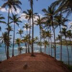 Private 14 Day All Inclusive Sri Lanka Island Tour from Airport - Who Would Love This Tour?