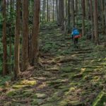 Private 2-Day Tour (16): Wakayama Coast & Kumano Kodo - Day 1: Coastal Wonders and Scenic Views