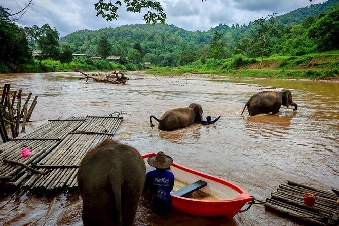 Private 3 Day Chiang Mai and Chiang Rai Tour - Who Would Enjoy This Tour?