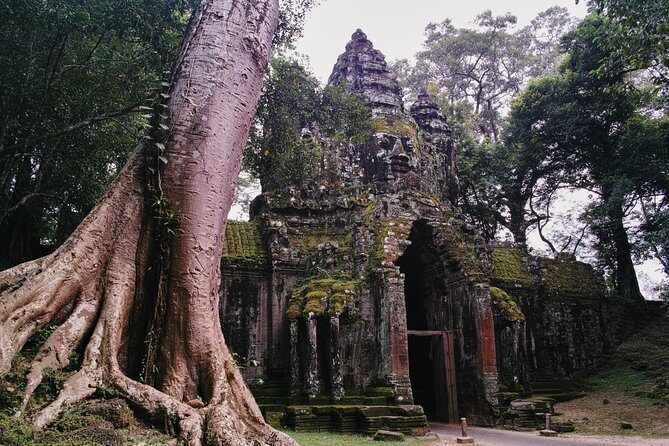 Private 3 Day Trip: Siem Reap-Phnom Penh - Authentic Reviews and Insights