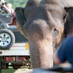 Private 6-Day Sri Lanka Cultural, Nature & Adventure Tour - Who Should Consider This Tour?