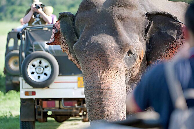 Private 6-Day Sri Lanka Cultural, Nature & Adventure Tour - Who Should Consider This Tour?