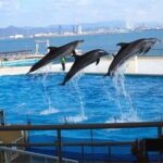 Private 9 persons Chartered Bus in Fukuoka - The Itinerary Breakdown: What You Might See