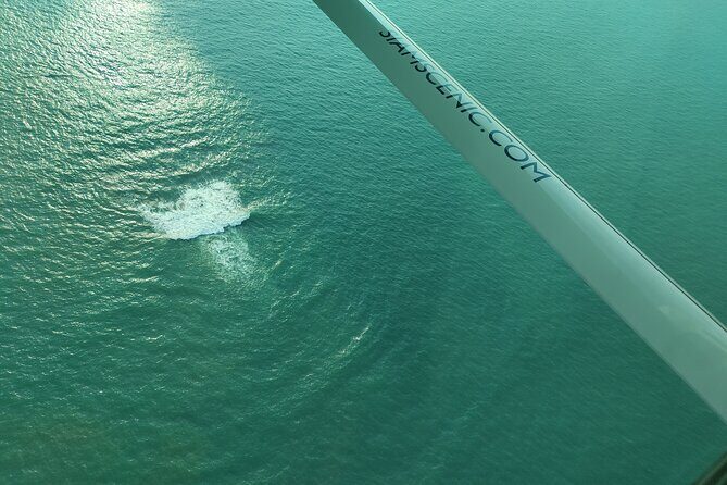 Private Air Charter Transfer from Bangkok to Pattaya - FAQs