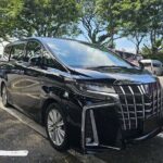 Private Airport Transfers in Singapore - The Booking Process and Flexibility