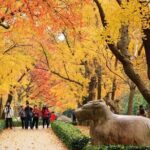 Private Amazing Nanjing City Day Tour in Your Way - What Travelers Say
