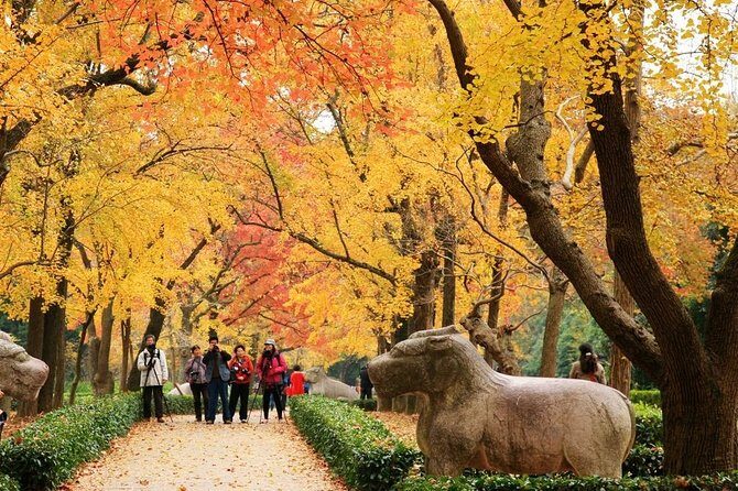 Private Amazing Nanjing City Day Tour in Your Way - What Travelers Say