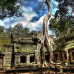 Private Angkor Wat Sunrise Small Tour - What to Expect from the Itinerary