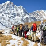 Private Annapurna Base Camp Trek - From Sinuwa to Deurali: Nature and Culture Collide