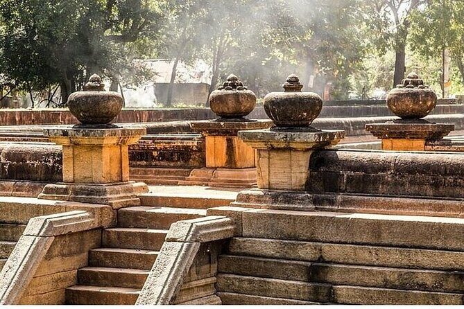 Private Anuradhapura & Wilpattu Safari Day Tour From Dambulla - Practical Details and Value