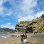 Private Auckland West Coast Karekare Falls, Rainforest and Piha - Who Is This Tour Best For?
