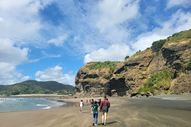Private Auckland West Coast Karekare Falls, Rainforest and Piha - Who Is This Tour Best For?