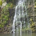 Private Auckland West Coast Tour Piha Beach and Karekare Falls - What’s Included and What’s Not