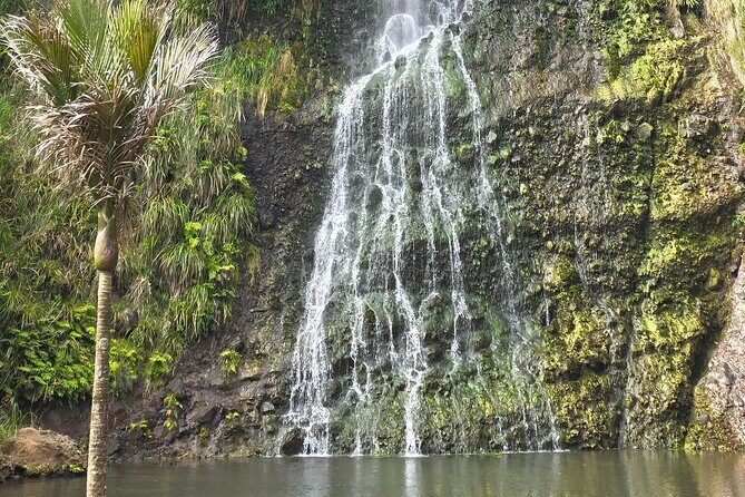 Private Auckland West Coast Tour Piha Beach and Karekare Falls - What’s Included and What’s Not