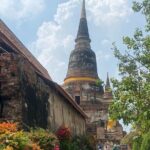 Private Ayutthaya Temples Tour - One day trip - An in-depth look at the tour experience