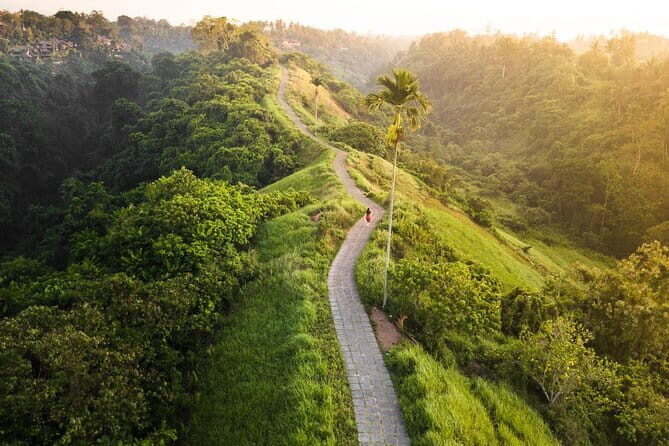 Private Bali Airport Transfer in Ubud Area - Vehicle Quality and Comfort