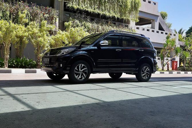 Private Bali Arrival Transfer: Airport to Ubud Hotels - The Experience of Meet & Greet Service