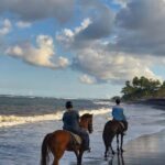 Private Bali Horse ride - Who Will Enjoy This Tour?
