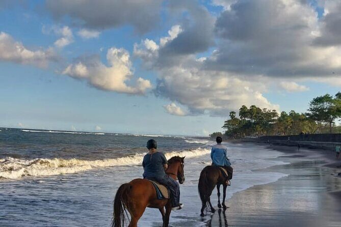 Private Bali Horse ride - Who Will Enjoy This Tour?