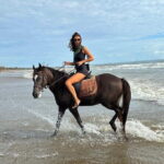 Private Bali Horse Riding and Surf lesson in Seminyak Beach - The Value of This Tour