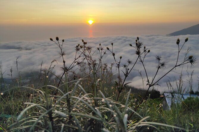 Private Bali Sunrise Trekking at Mount Batur Kintamani - Logistics and Practical Details