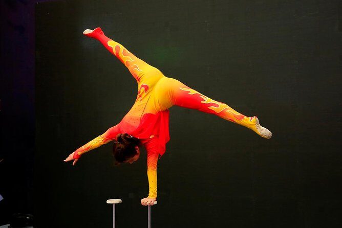 Private Beijing Night Tour: Acrobatic Show and Peking Duck Dinner - Who Is This Tour Best Suited For?